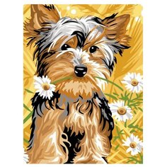 Color Kit Картина по номерам