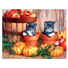 Color Kit Картина по номерам