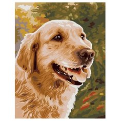 Hobbart Картина по номерам