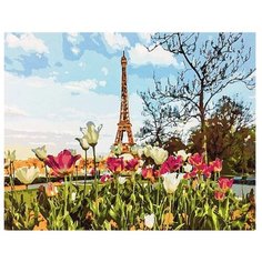 Paintboy Картина по номерам