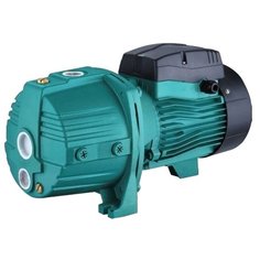 Насос LEO AJDm110 4H Лео