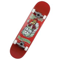 Скейтборд Playshion FS-WS002-4