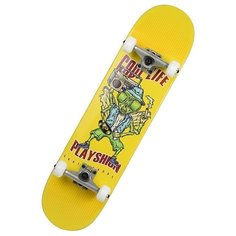Скейтборд Playshion FS-WS002-6