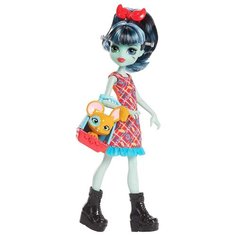 Кукла Monster High Семейка