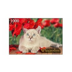Пазл Рыжий кот Puzzolini Кот и