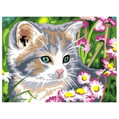 Color Kit Картина по номерам