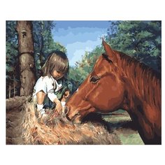 Color Kit Картина по номерам