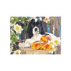 Рыжий кот Картина по номерам