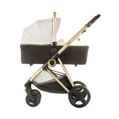 Универсальная коляска Chipolino