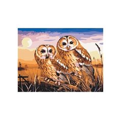 Рыжий кот Картина по номерам