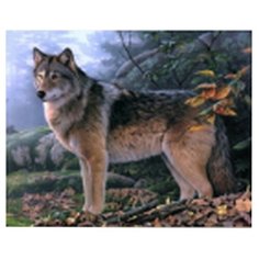 Рыжий кот Картина по номерам