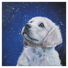 Hobbart Картина по номерам