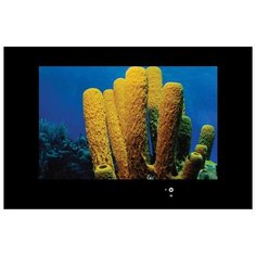 Телевизор AquaView 55