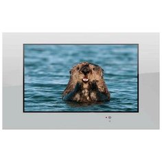 Телевизор AquaView 32 Smart TV