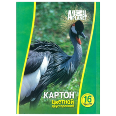 Цветной картон Animal planet Action!