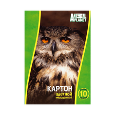 Цветной картон Animal Planet Action!