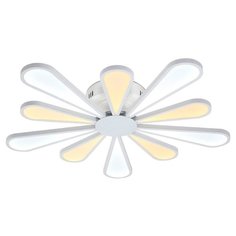 Lucia Tucci Miracoli 203.20 LED