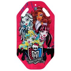 Ледянка 1 TOY Monster High Т56339