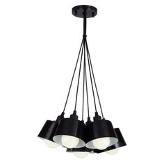 Favourite North Tulip 1680-1P