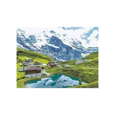 Рыжий кот Картина по номерам