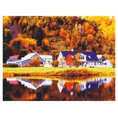 Рыжий кот Картина по номерам