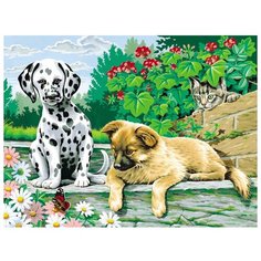 Рыжий кот Картина по номерам