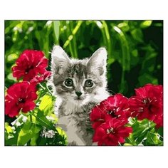 Рыжий кот Картина по номерам