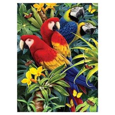 Royal & Langnickel Раскраска по