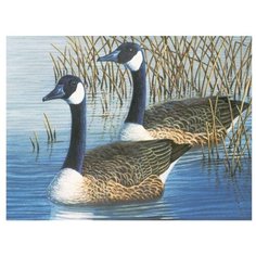 Royal & Langnickel Раскраска по