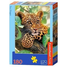 Пазл Castorland Tree Hugger