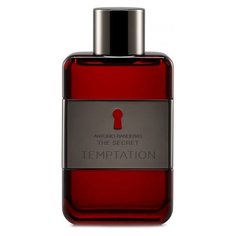 Antonio Banderas The Secret