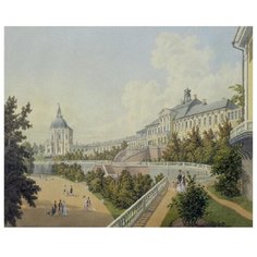 Molly Картина по номерам