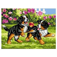 Paintboy Картина по номерам