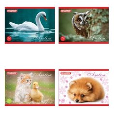 Альбом для рисования Пифагор