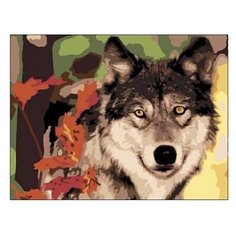 Рыжий кот Картина по номерам