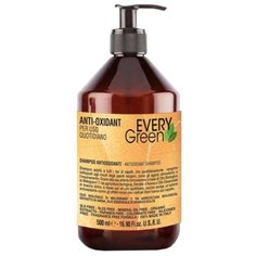 Dikson шампунь EveryGreen