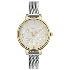 Наручные часы Ted Baker
