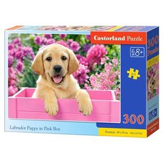 Пазл Castorland Labrador Puppy
