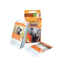 Настольная игра Стиль Жизни