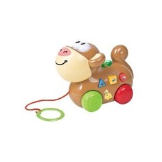 Каталка-игрушка TONG DE PULL