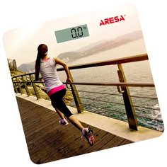 Весы ARESA SB-312
