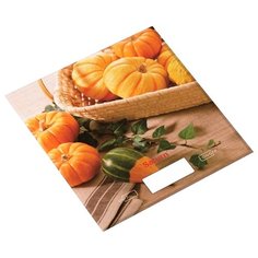 Кухонные весы Saturn ST-KS7818