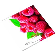 Кухонные весы Saturn ST-KS7816