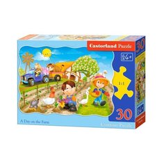 Пазл Castorland A Day on the