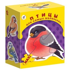 Набор пазлов Дрофа-Медиа ДСМ