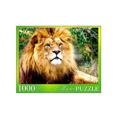 Пазл Рыжий кот Masterpuzzle