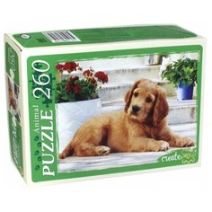 Пазл Рыжий кот Красивый щенок