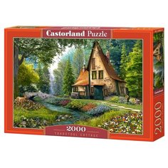 Пазл Castorland Toadstool