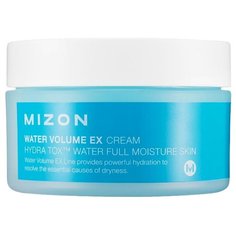 Mizon Water volume EX cream