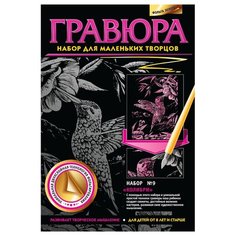 Гравюра Фантазёр Колибри N9
